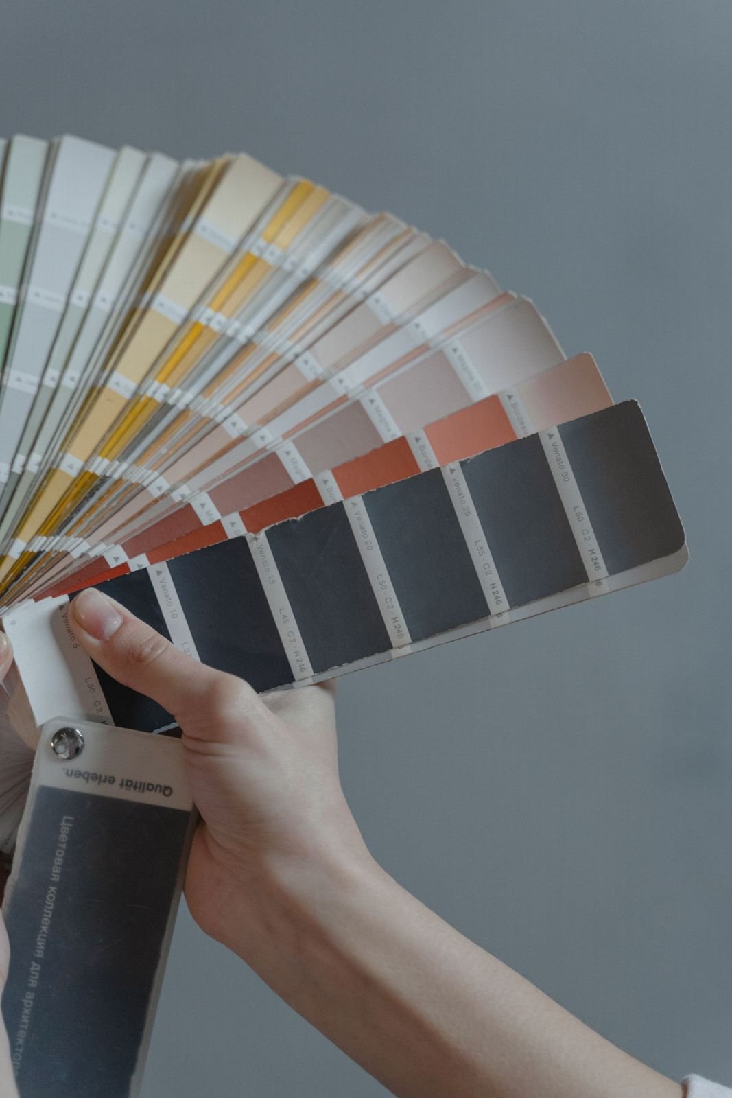 Spartan International — Colour Swatch Hand