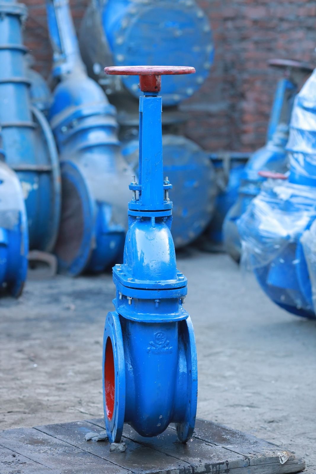Spartan International — Trading Valve Blue